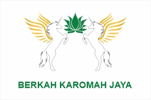 berkah-karomah-jaya image berkah-karomah-jaya Jasa SEO Google Page 1 & Pembuatan Website Biaya Murah